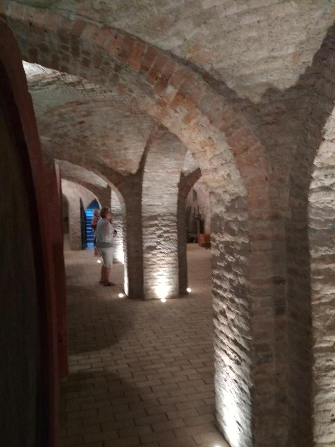 TiszaugGolya Vendeghaz公寓 外观 照片