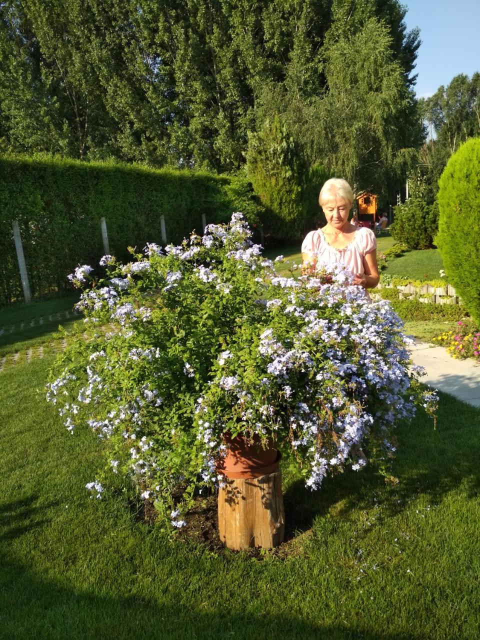 TiszaugGolya Vendeghaz公寓 外观 照片